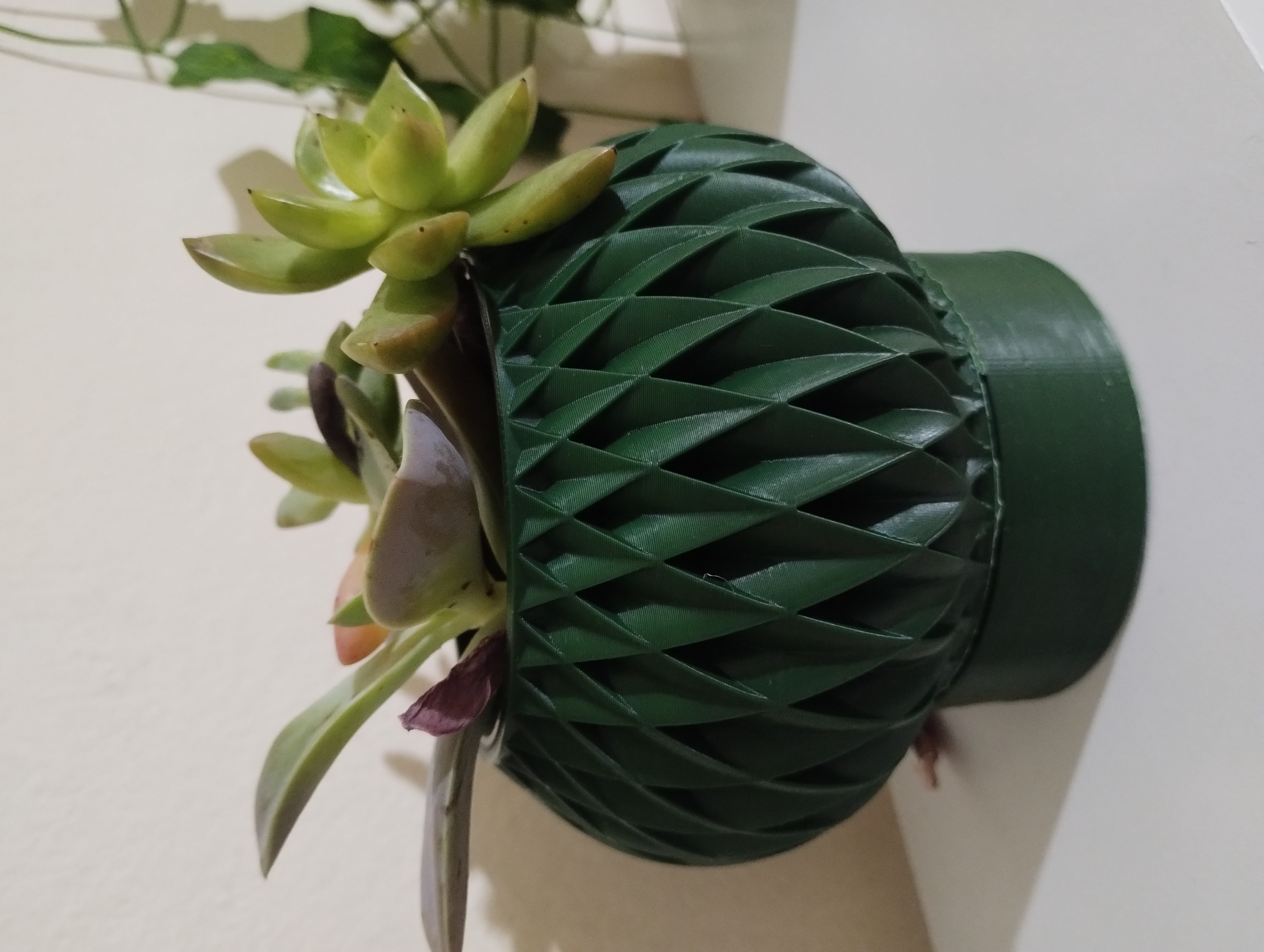 Vaso verde com planta